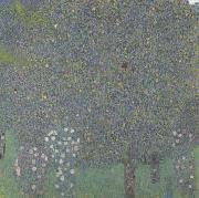 Gustav Klimt Rose Bushes Under the Trees (mk20) Sweden oil painting artist